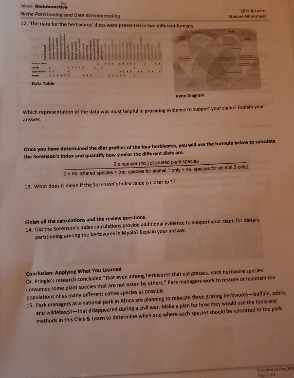 NICHE PARTITIONING AND SPECIES COEXISTENCE WORKSHEET ANSWERS
