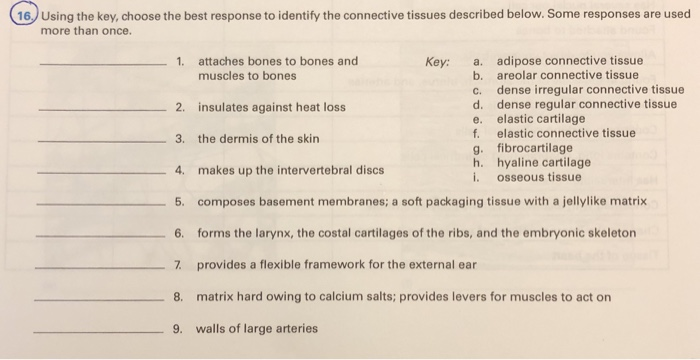Solved 16. Using the key, choose the best response to | Chegg.com