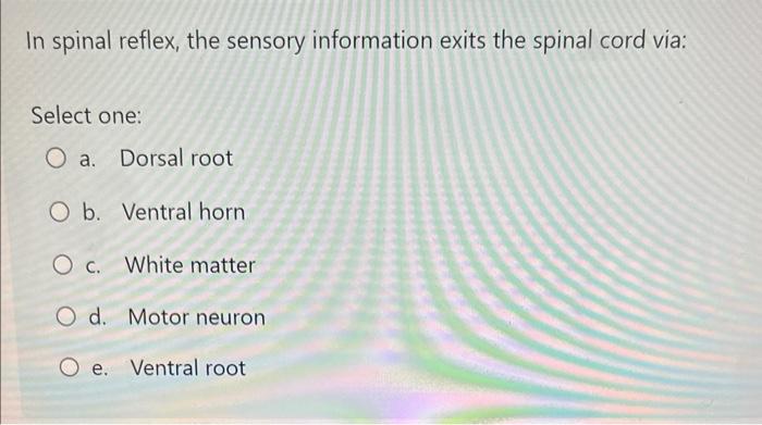 In spinal reflex, the sensory information exits the spinal cord via:
Select one:
a. Dorsal root
b. Ventral horn
c. White matt