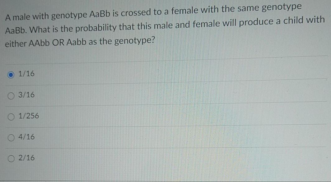 Solved A Male With Genotype Aabb Is Crossed To A Female With 3860