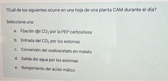 ?Cuál de los siguientes ocurre en una hoja de una planta CAM durante el día? Seleccione una: a. Fijación djel \( \mathrm{CO}_