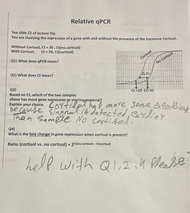 Solved See slide 22 of lecture file. You are studying the | Chegg.com