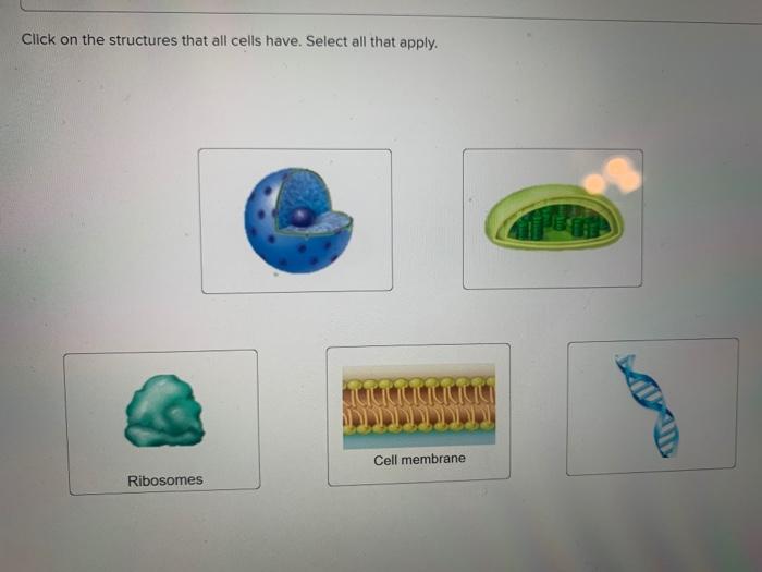 Solved Click on the structures that all cells have. Select | Chegg.com