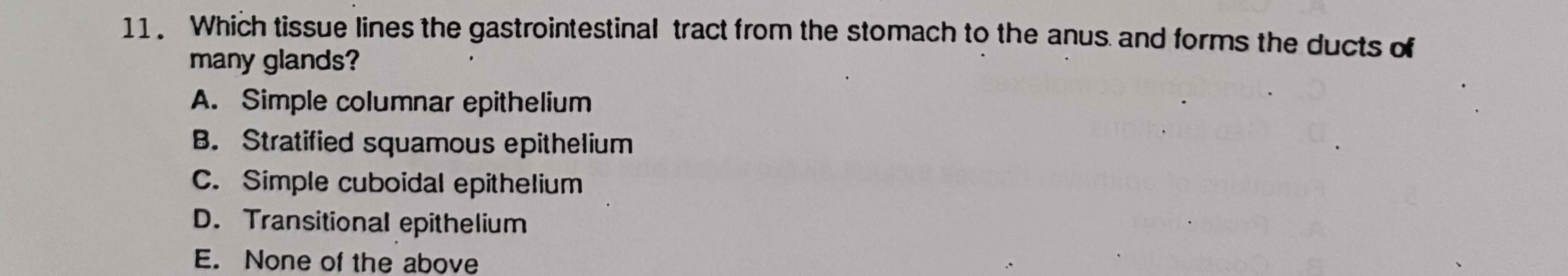 Which tissue lines the gastrointestinal tract from