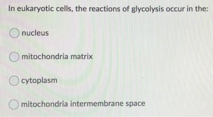 Solved In eukaryotic cells, the reactions of glycolysis | Chegg.com