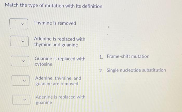 Solved Match the type of mutation with its definition. | Chegg.com