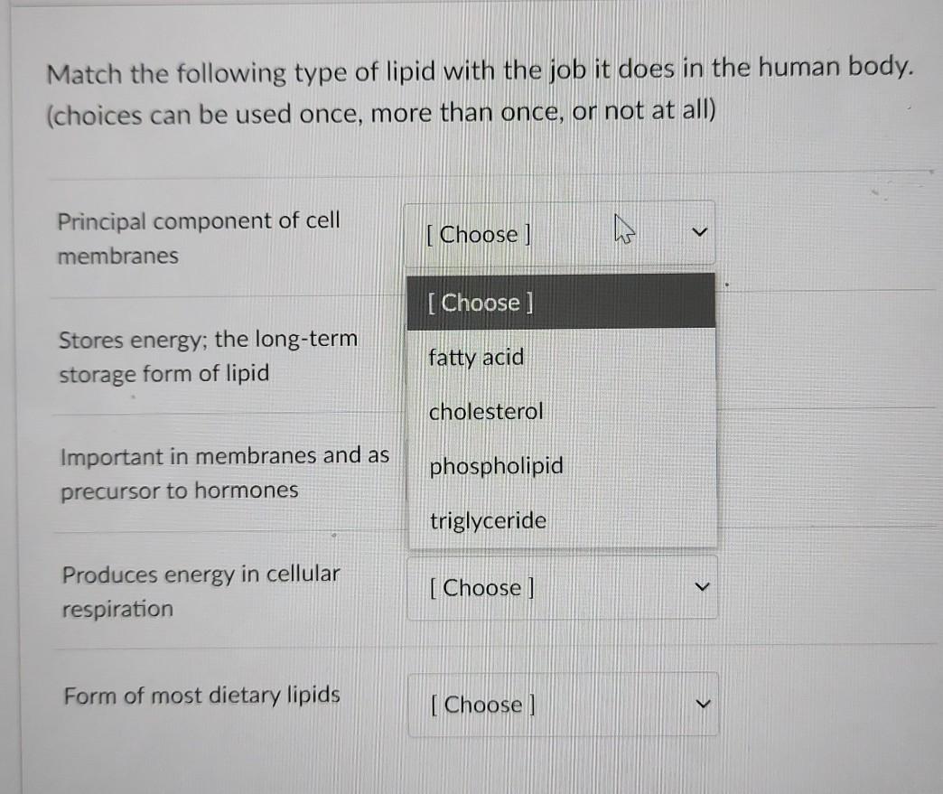 Solved Match the following type of lipid with the job it | Chegg.com