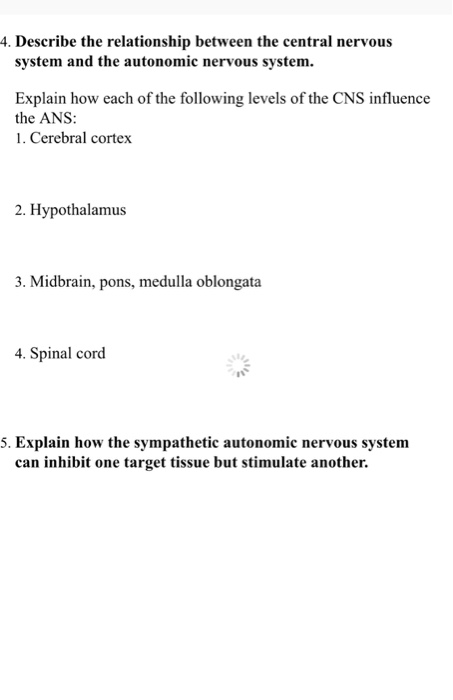 solved-4-describe-the-relationship-between-the-central-chegg