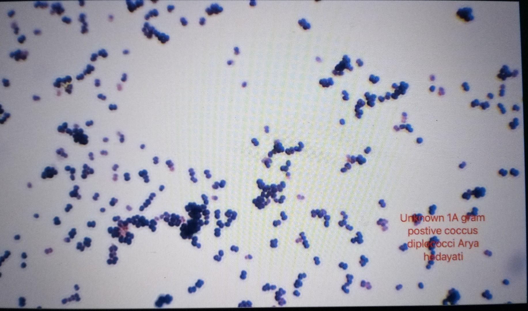 Solved apply to this unknown: | Chegg.com