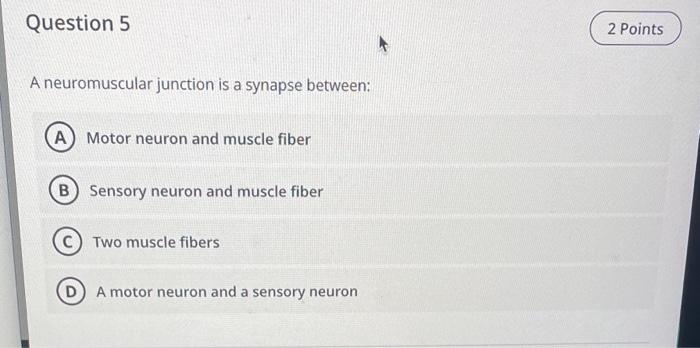 Solved Question 5 A neuromuscular junction is a synapse | Chegg.com