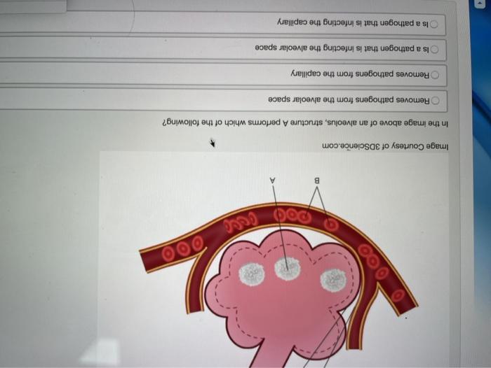 Solved 000 ceea po Image Courtesy of In the
