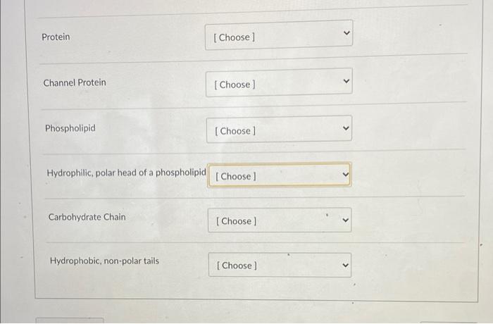 Solved Use the diagram to match the structure with the | Chegg.com