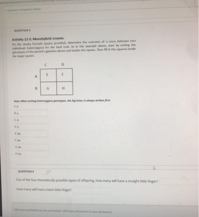 Solved QUESTION 4 Activity 12-2: Monohybrid Crosses. On The | Chegg.com