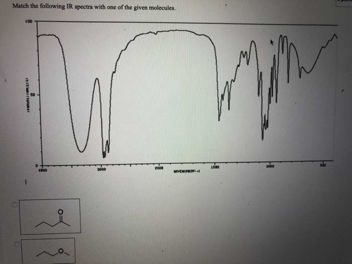 Solved Match the following IR Spectra with one of the given | Chegg.com