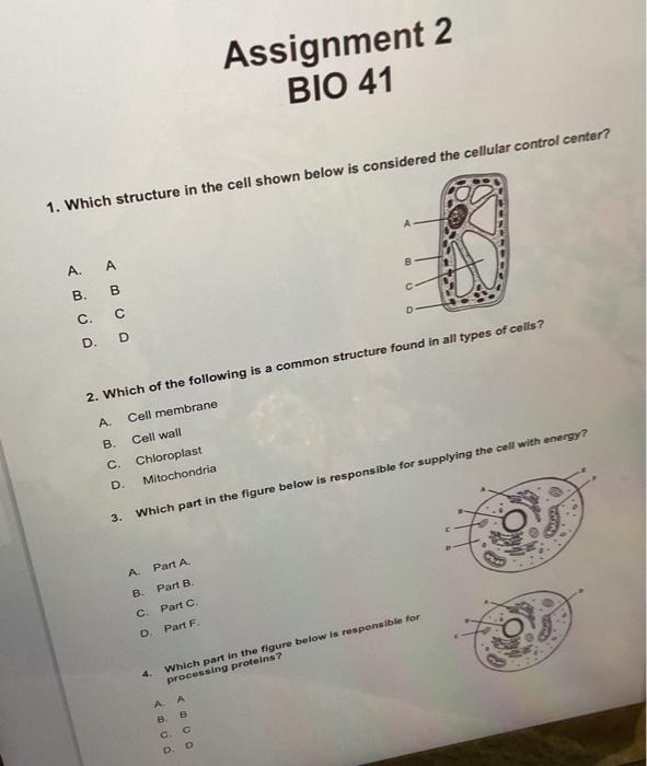 Solved 1. Which structure in the cell shown below is | Chegg.com