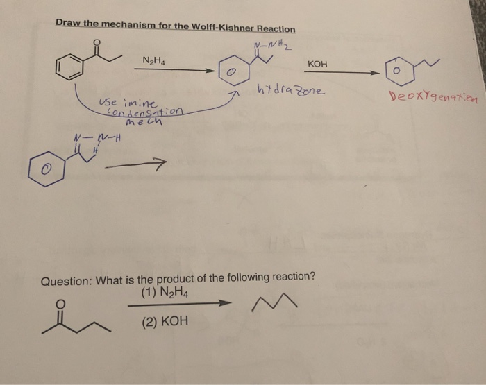 Solved Draw the mechanism for the Wolff-Kishner Reaction | Chegg.com