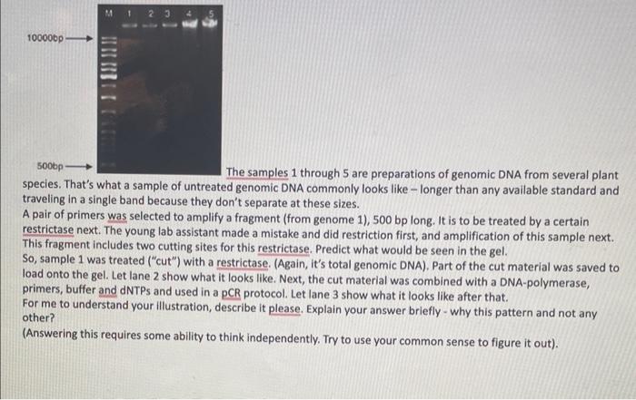 The samples 1 through 5 are preparations of genomic | Chegg.com