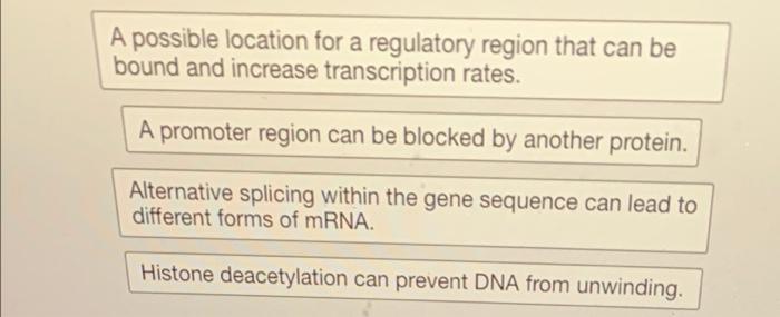 Solved The diagram below shows the structure of DNA from the | Chegg.com