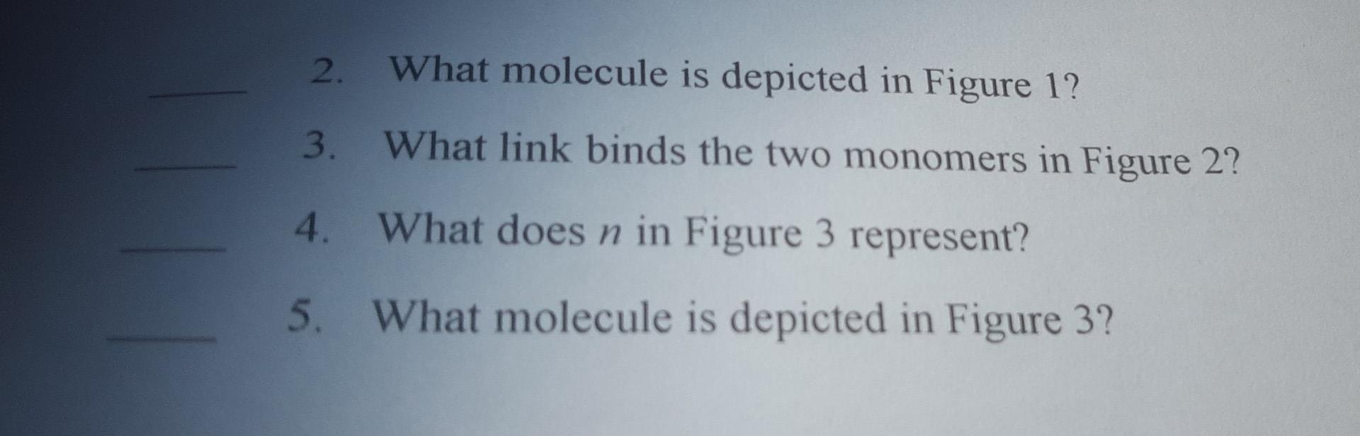 Solved 2. What molecule is depicted in Figure 1? 3. What | Chegg.com
