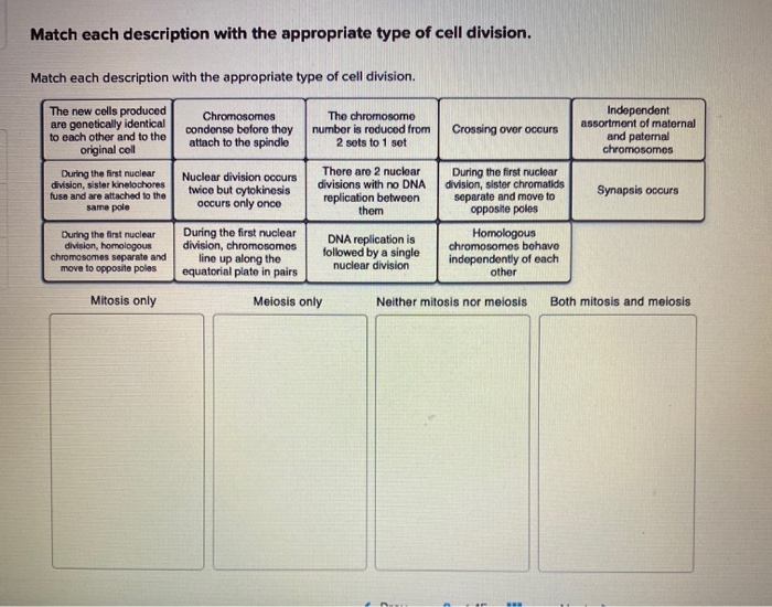 Solved Match Each Description With The Appropriate Type Of | Chegg.com