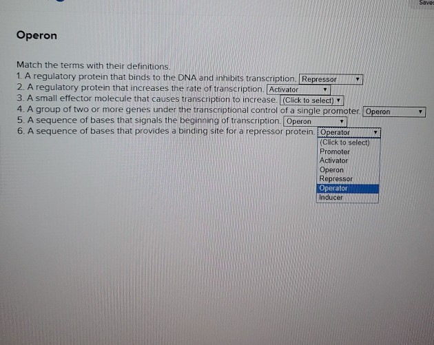 Solved Save Operon Match the terms with their definitions 1. | Chegg.com