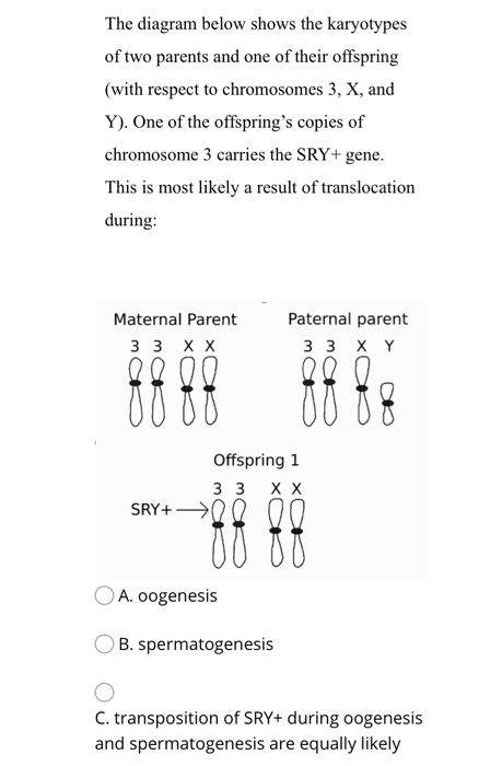 Solved The Diagram Below Shows The Karyotypes Of Two Parents | Chegg.com