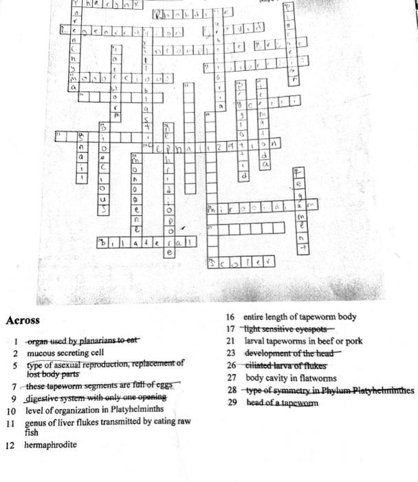 solved-across-1-ergan-tised-by-planarians-to-eat-2-mucous-chegg