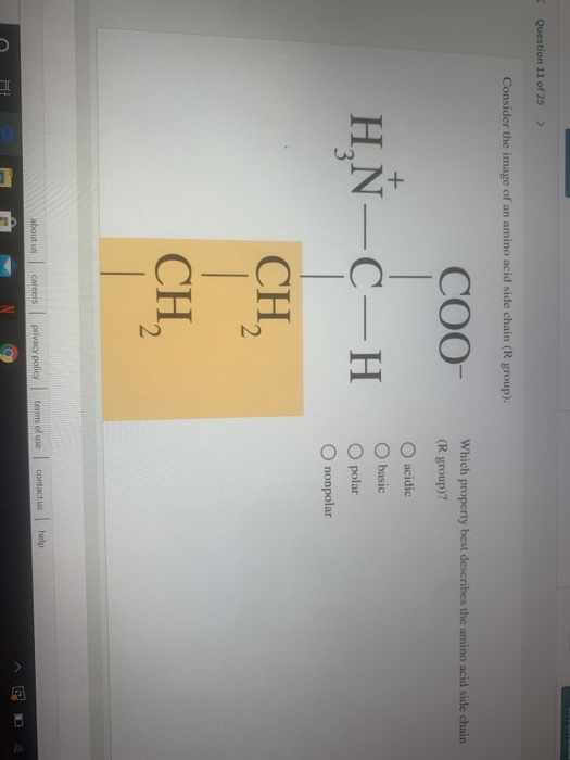 Solved Question 11 of 25 Consider the image of an amino acid | Chegg.com