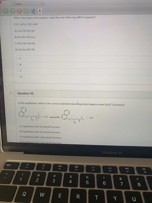 Solved What is the amino acid sequence coded from the | Chegg.com