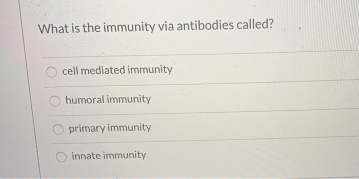 Solved What type of lymphocytes become activated by antigen | Chegg.com