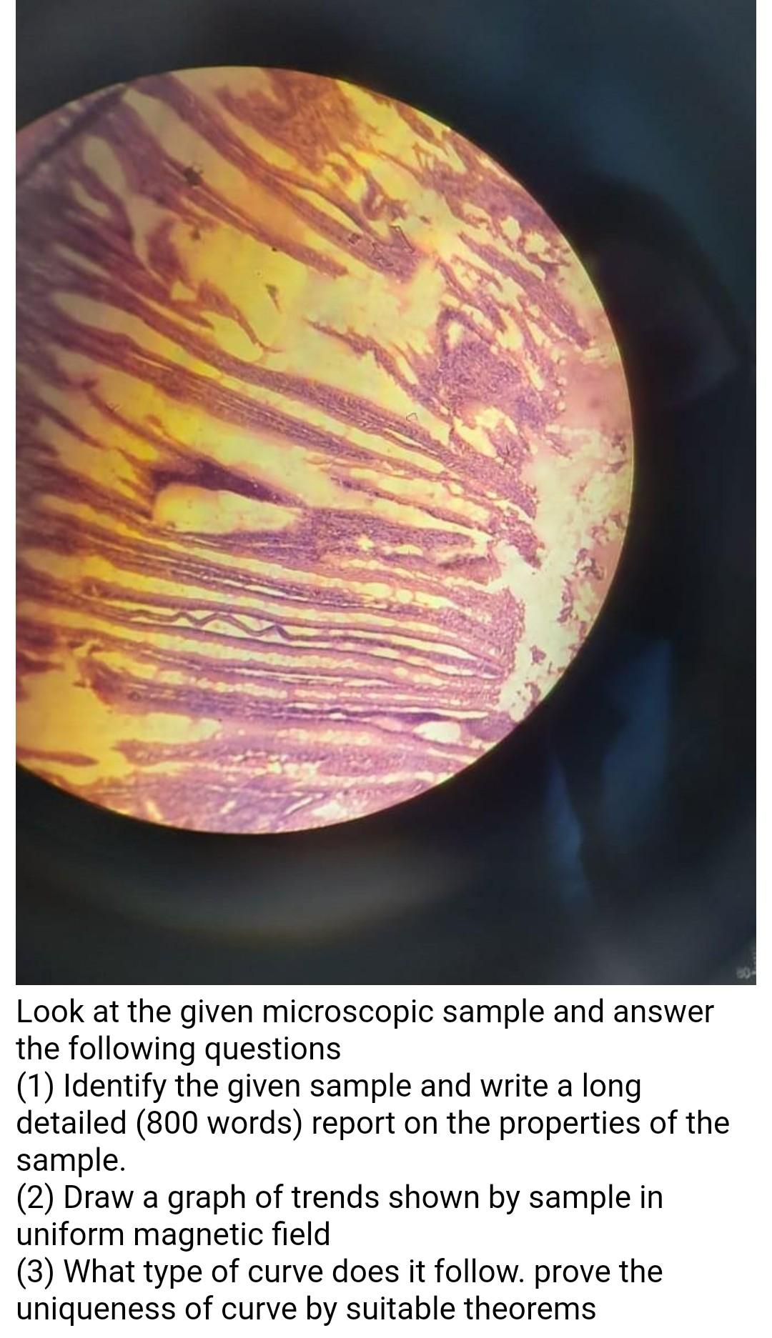 Look at the given microscopic sample and answer the | Chegg.com