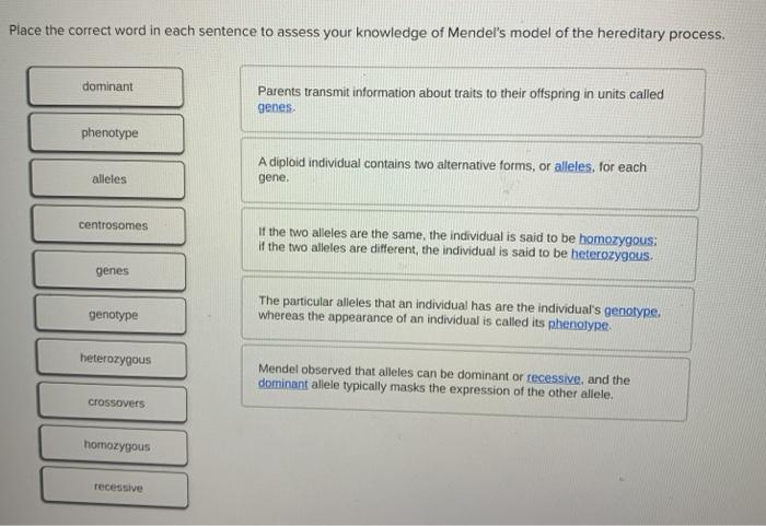 solved-place-the-correct-word-in-each-sentence-to-assess-chegg