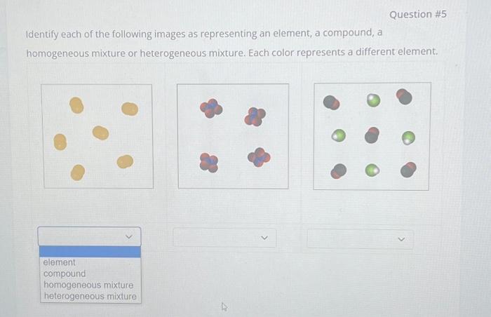 Solved Identify each of the following images as representing | Chegg.com