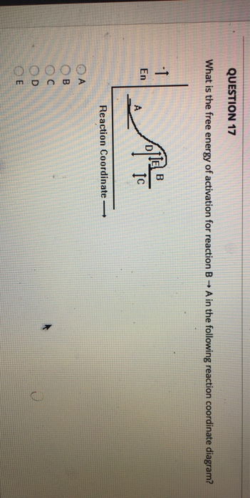 Answer homework questions for free picture