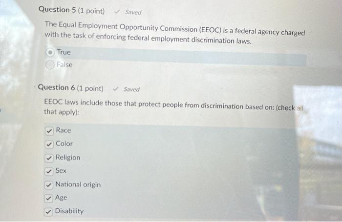 Solved The Equal Employment Opportunity Commission (EEOC) is | Chegg.com