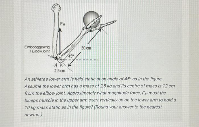 Solved An athlete's lower arm is held static at an angle of | Chegg.com