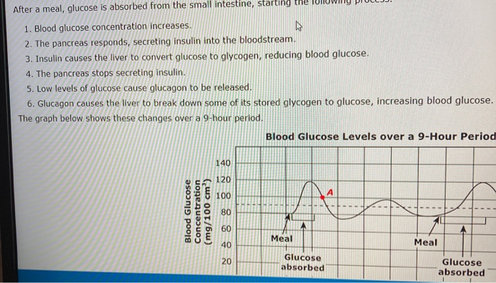 After a meal, glucose is absorbed from the small | Chegg.com