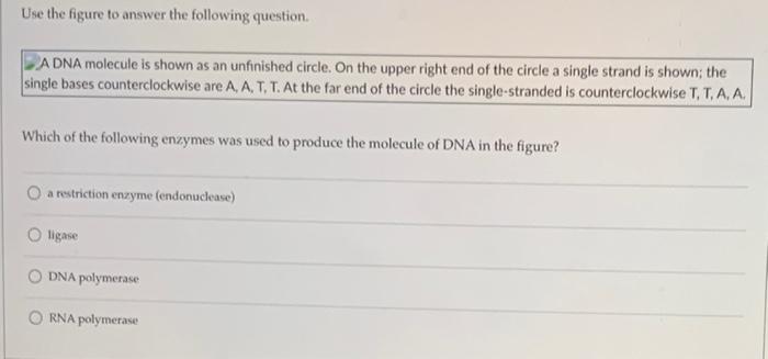 Use The Figure To Answer The Following Question ADNA | Chegg.com