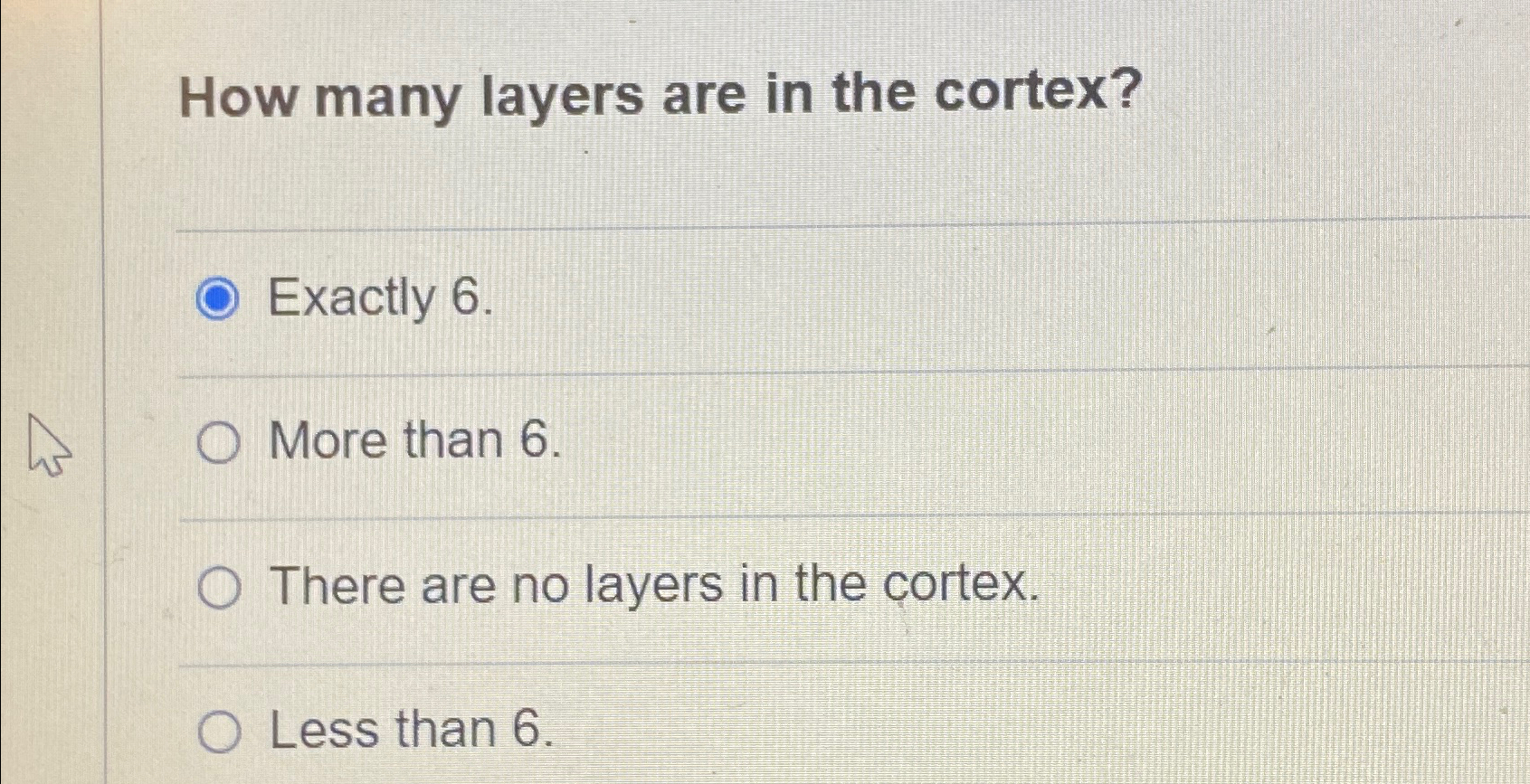 6 layers of cortex