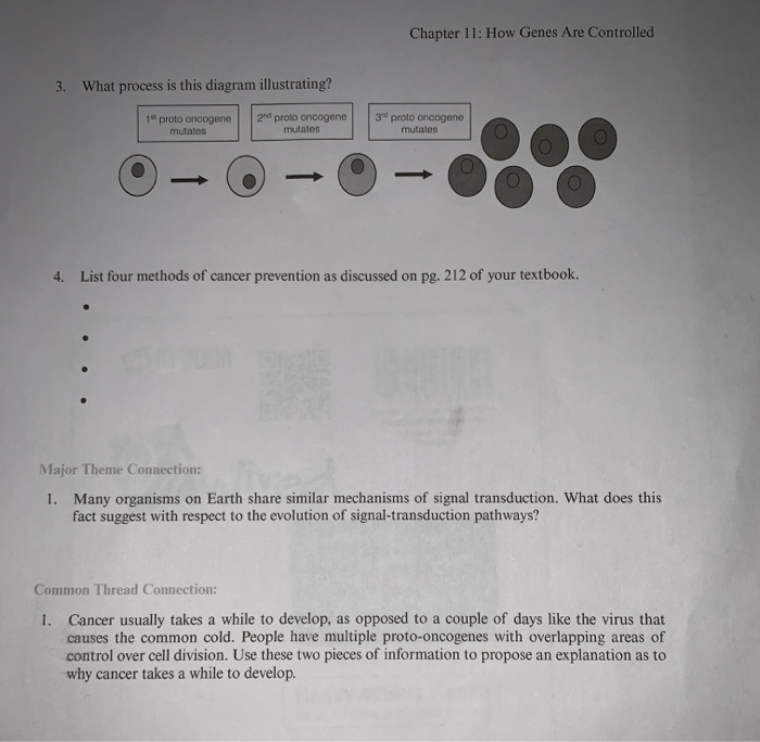 Chapter 11 How Genes Are Controlled 3 What Process Chegg 