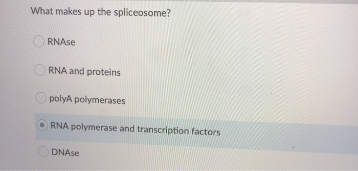 Solved Which Of The Following Statements Correctly Describes | Chegg.com Solved Which Of The Following Statements Correctly Describes | Chegg.com