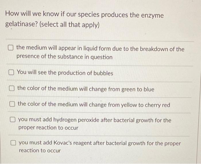 Solved How will we know if our species produces the enzyme | Chegg.com