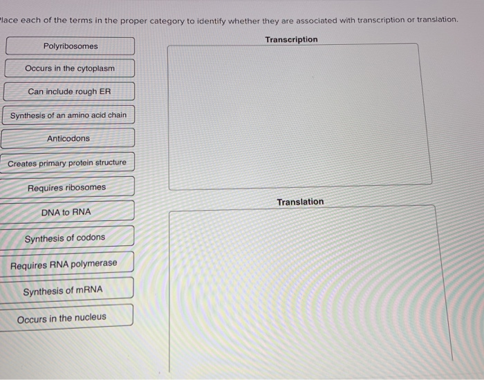 Solved Place each of the terms in the proper category to | Chegg.com