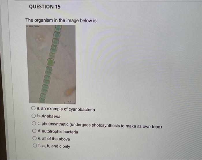 Solved Which of the following statements about the Domain