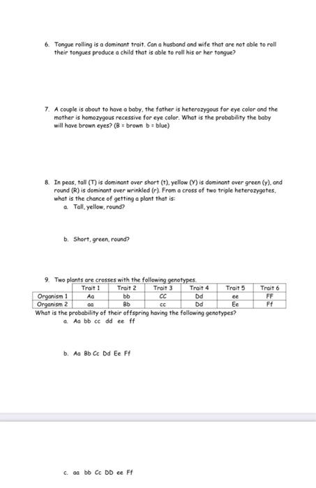 monohybrid cross worksheet