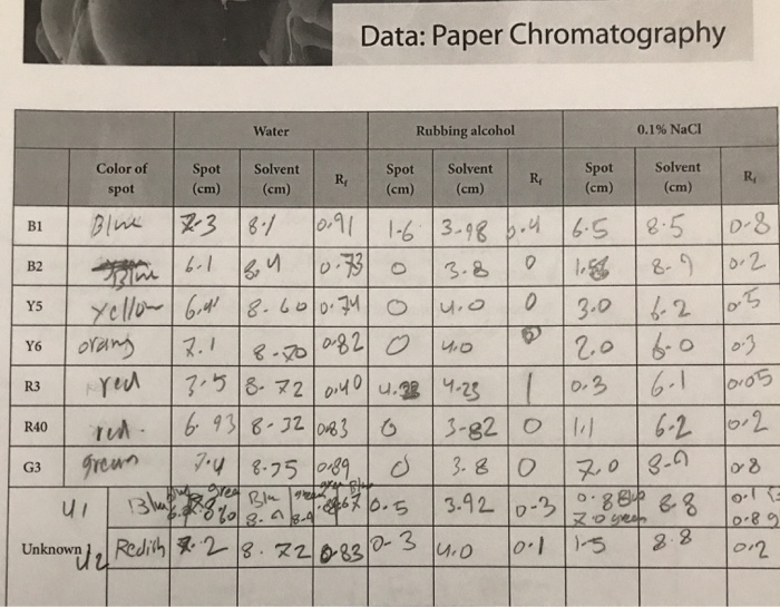 Solved: Data: Paper Chromatography Water Rubbing Alcohol 0... | Chegg.com