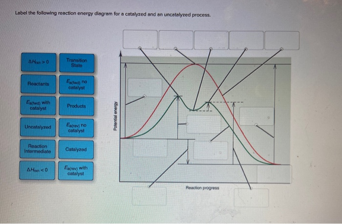 Solved Label The Following Reaction Energy Diagram For A | Chegg.com