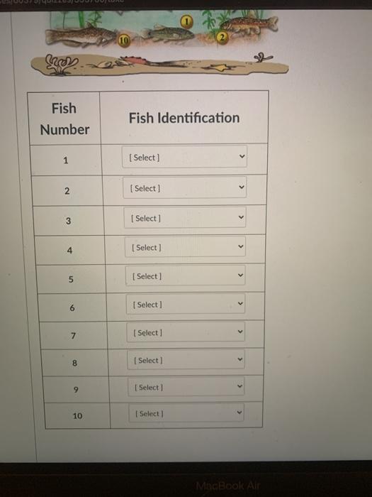 Fill out the table below with the correct fish | Chegg.com