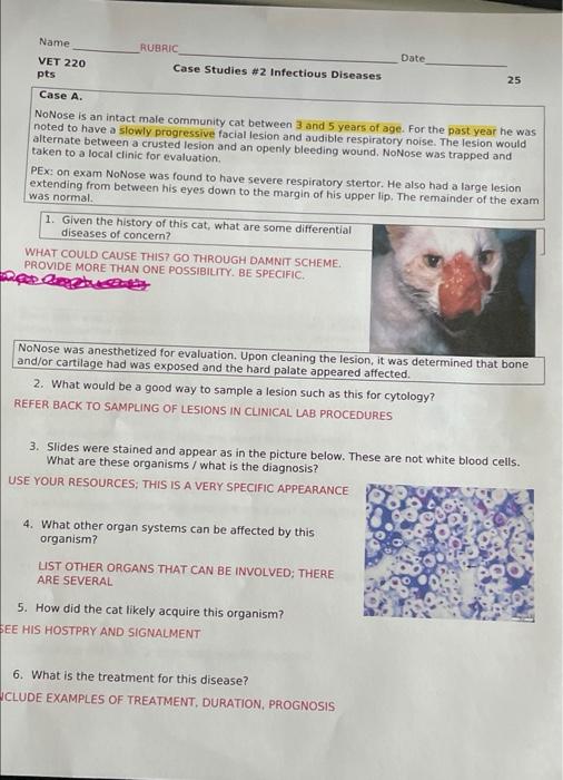 Solved This is for my veterinary technician class. looking | Chegg.com