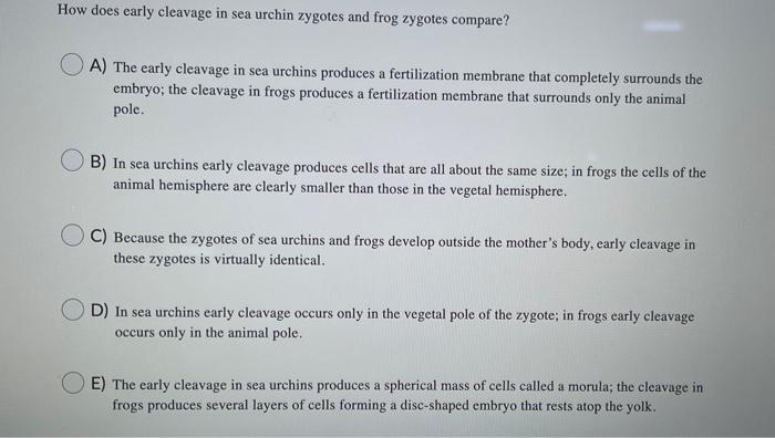 Solved How does early cleavage in sea urchin zygotes and | Chegg.com